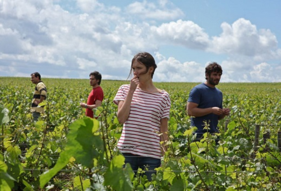 photo-issue-du-film-ce-qui-nous-lie-idealwine-565