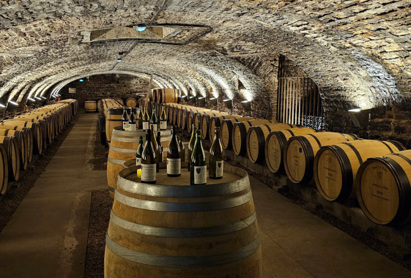 hotel-dieu-des-hospices-civils-de-beaune-mon-hotel-dieu-1-sandrine-allard-saint-albin-506