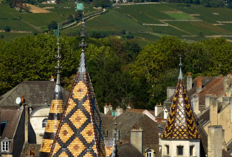 hotel-dieu-hospices-civils-de-beaune-vue-drone-hotel-dieu-et-vignes-studio-piffaut-246